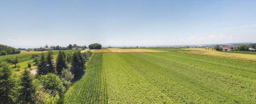 酒店 Kemnater Hof Apartments