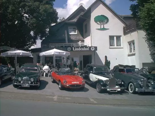 Отель Lindenhof