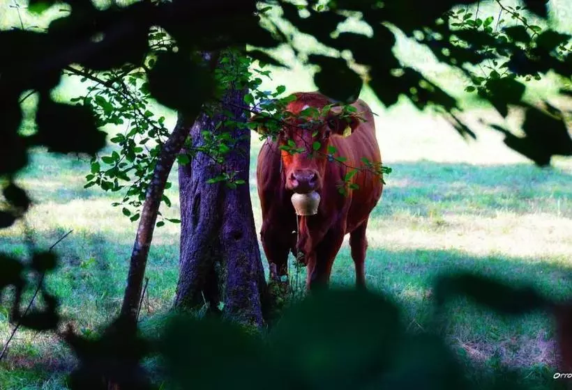 Wisser's Sonnenhof Landhotel Garni