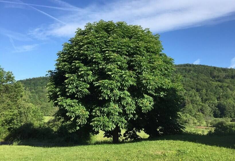 Landhotel Weisses Ross Garni