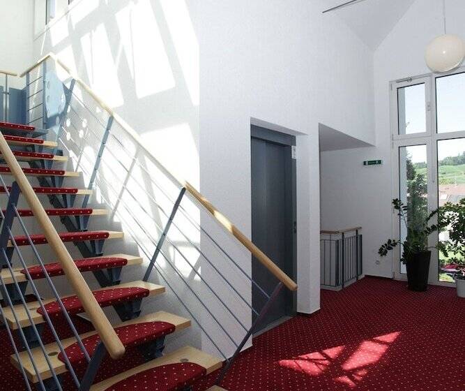 Pensão & Gasthaus Löwen