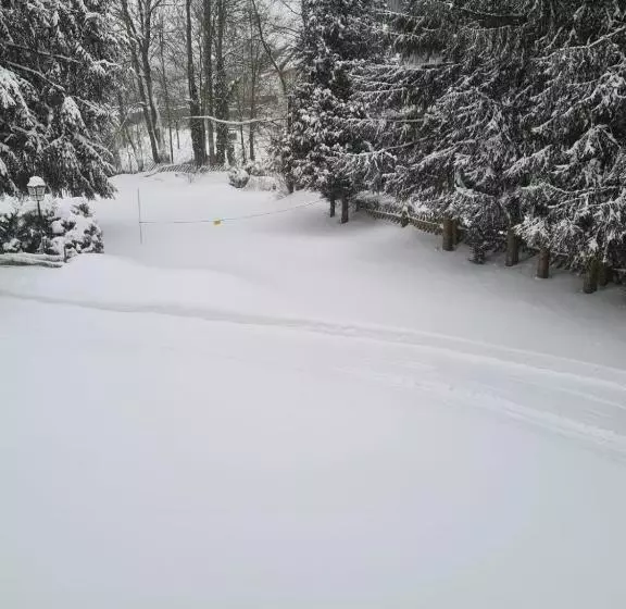 مبيت وإفطار Pension Parkblick