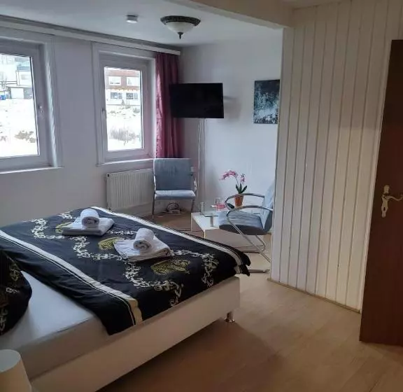 مبيت وإفطار Pension Parkblick