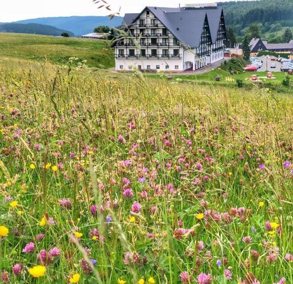 Alpina Lodge Hotel Oberwiesenthal