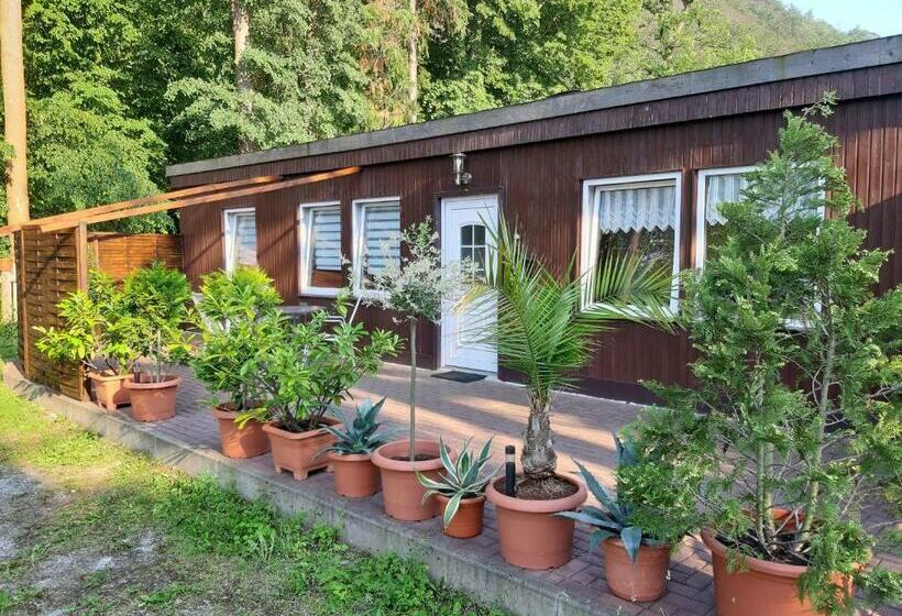 Hotel Alte Waldmãƒæ’ã‚â¼hle