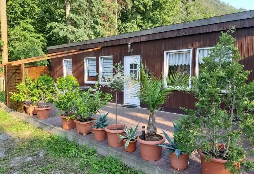 Hotel Alte Waldmãƒæ’ã‚â¼hle