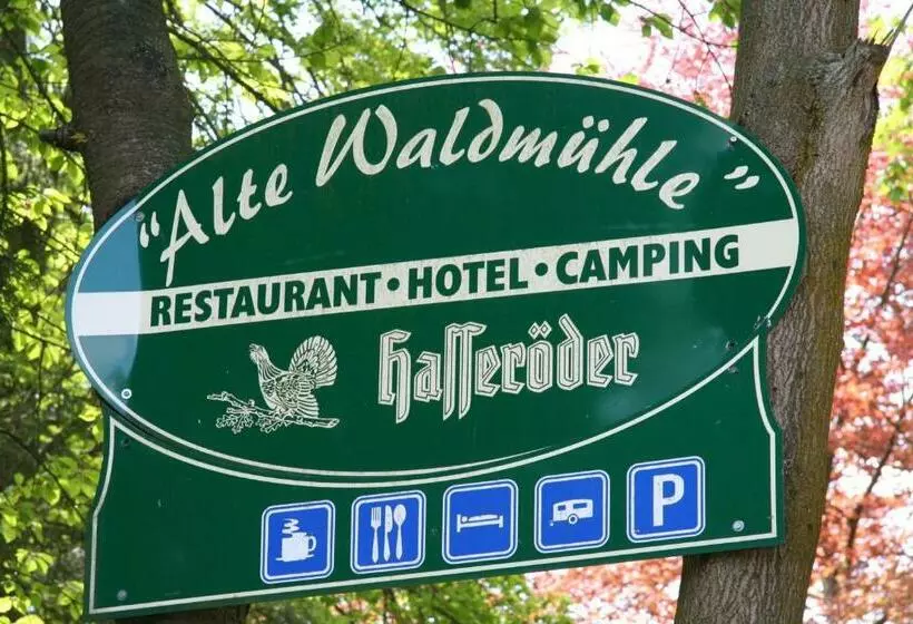 Hotel Alte Waldmãƒæ’ã‚â¼hle