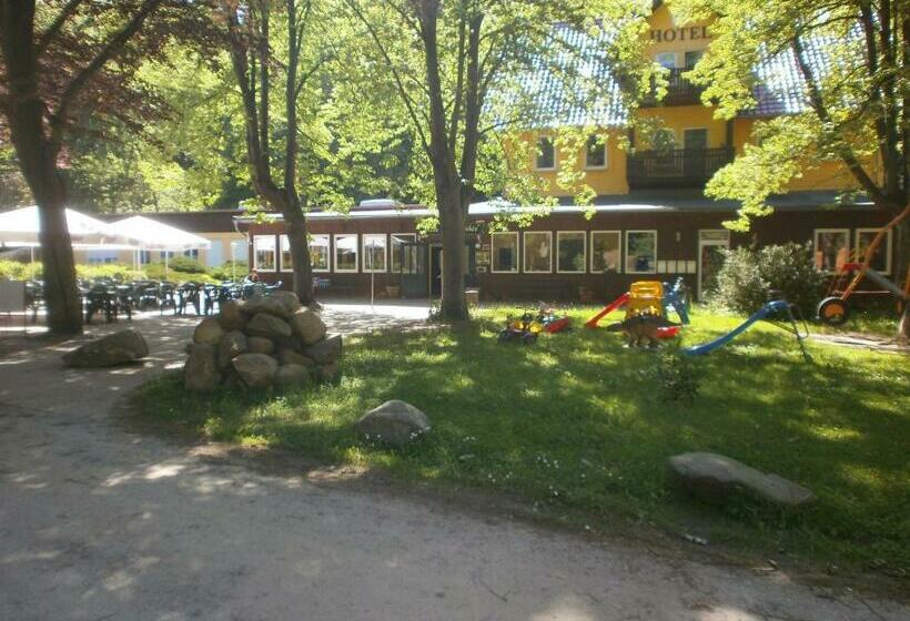 Hotel Alte Waldmãƒæ’ã‚â¼hle