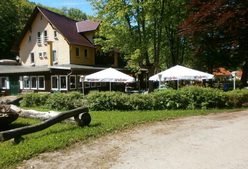 Hotel Alte Waldmãƒæ’ã‚â¼hle