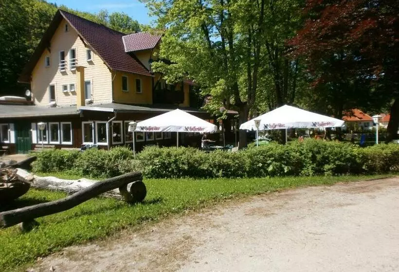 Hotel Alte Waldmãƒæ’ã‚â¼hle