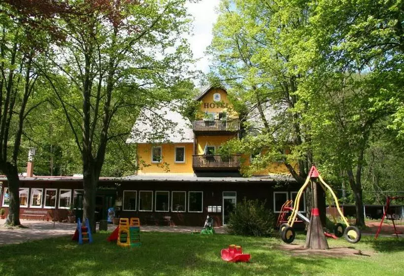 Hotel Alte Waldmãƒæ’ã‚â¼hle