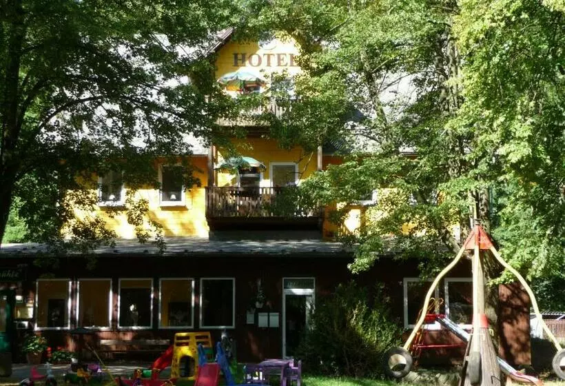 Hotel Alte Waldmãƒæ’ã‚â¼hle