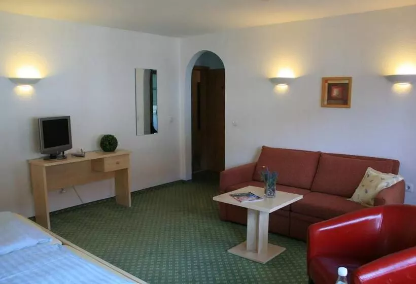 ホテル Altes Zollhaus