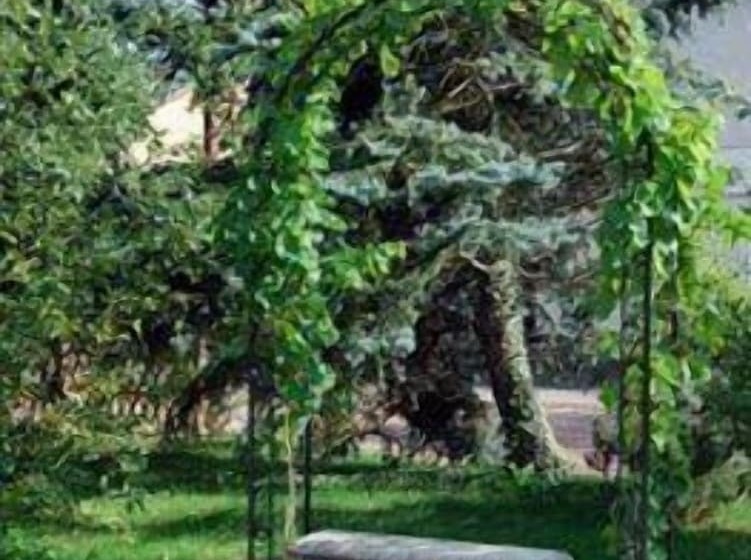 בית מלון כפרי Figo