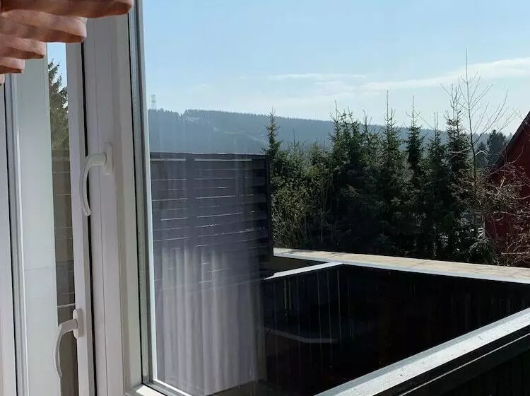 Отель Haus Am Hochwald