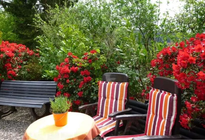 Отель Haus Am Hochwald