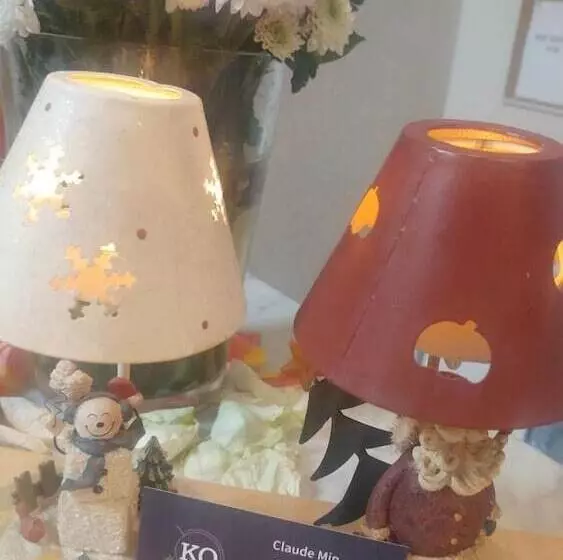 בית מלון כפרי Ko