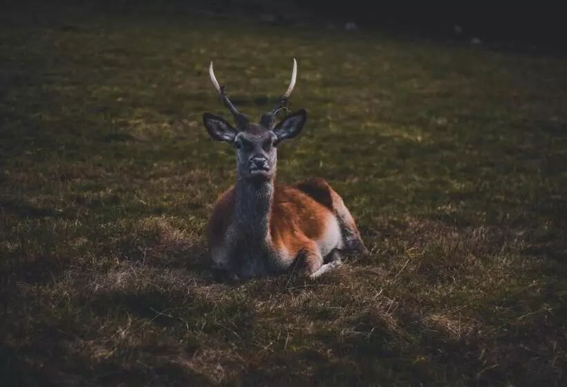 فندق Landhaus Eickler