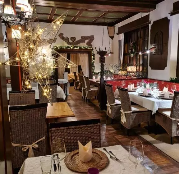 Отель Rüdesheimer Hof   Superior