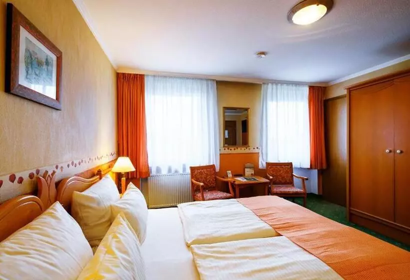 Отель Rüdesheimer Hof   Superior