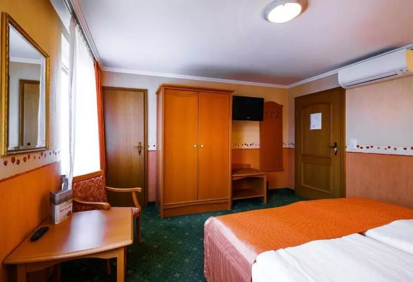 Отель Rüdesheimer Hof   Superior