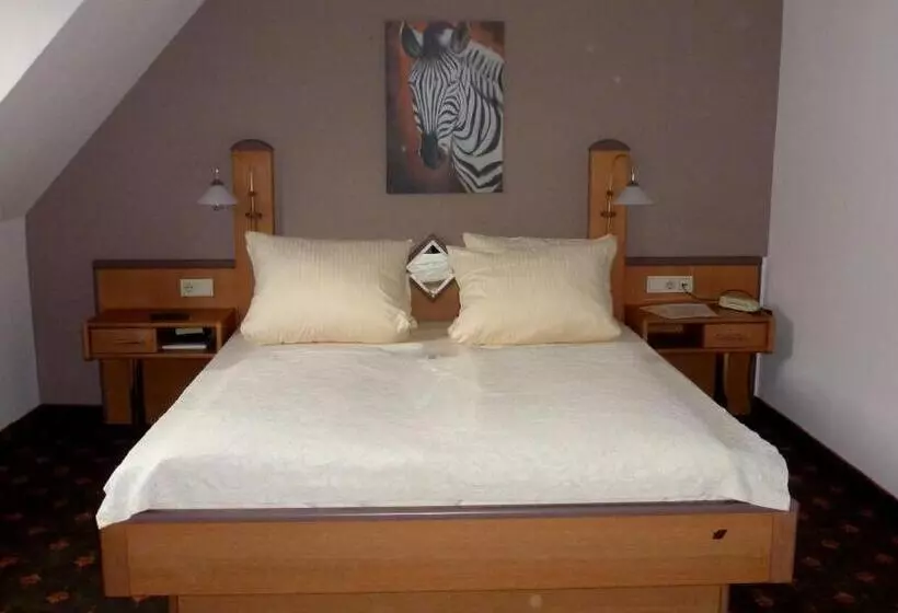 Отель Rüdesheimer Hof   Superior