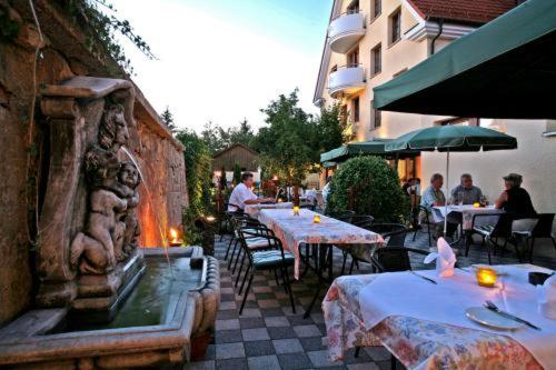 Отель Adler Garni