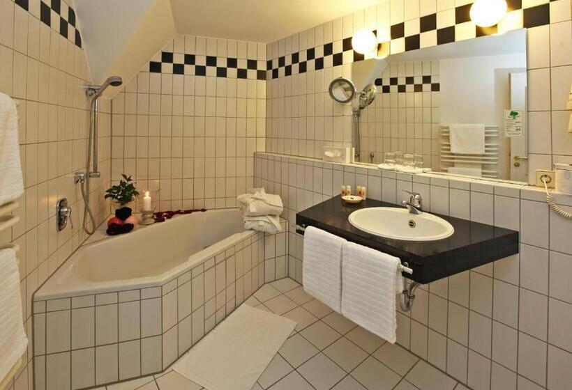 Отель Adler Garni