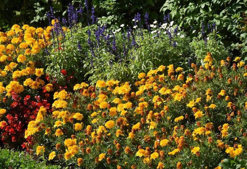 Hotel Sonneneck Titisee  Adults Only