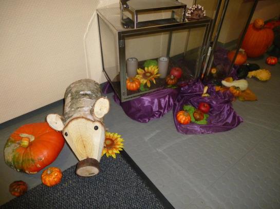 Отель Wartburg Winterberg