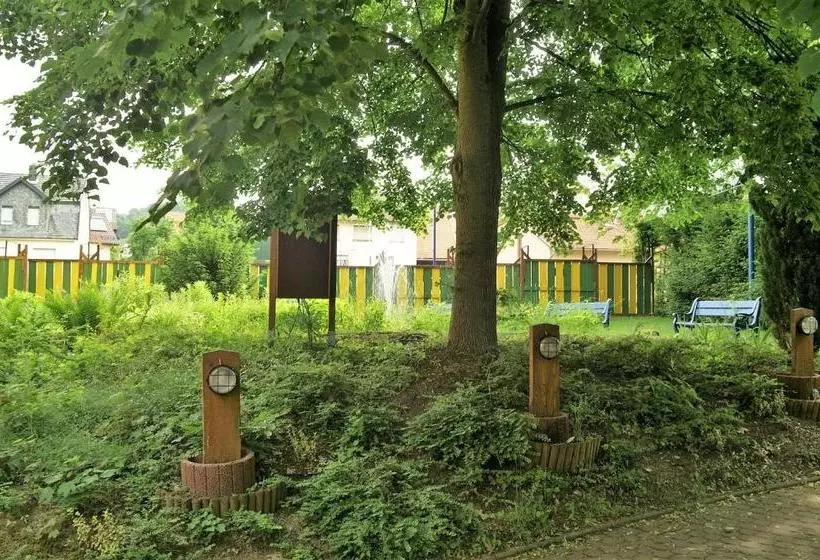 בית מלון כפרי Weidenau