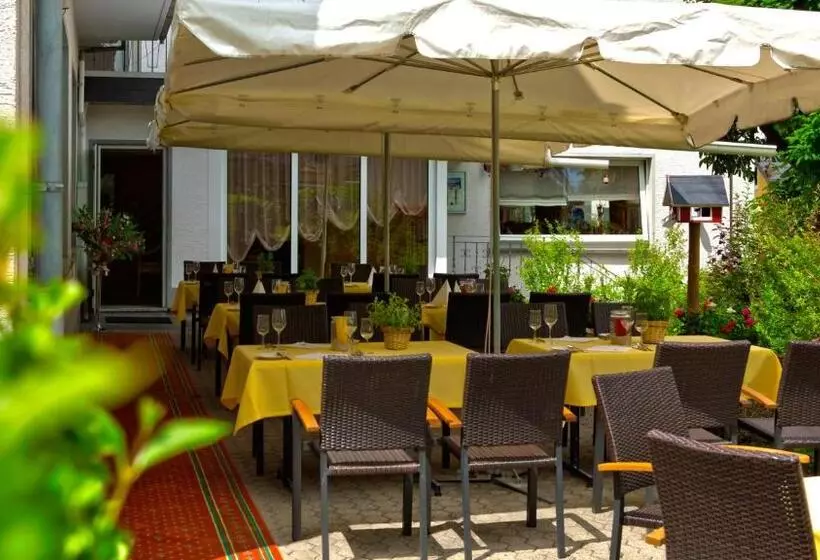 Пансион Landgasthof Eiserner Ritter