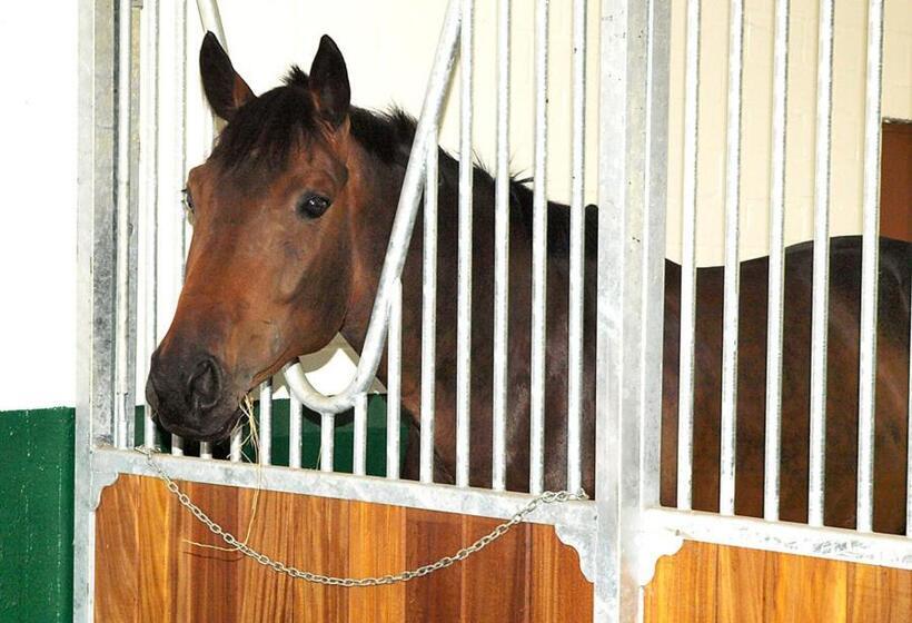 Heidehotel Waldhütte