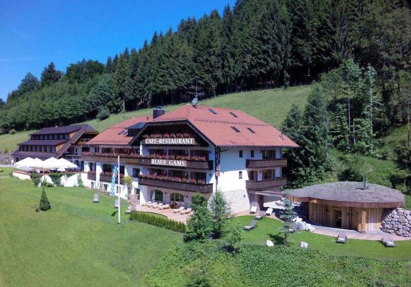 Hotel Blaue Gams S