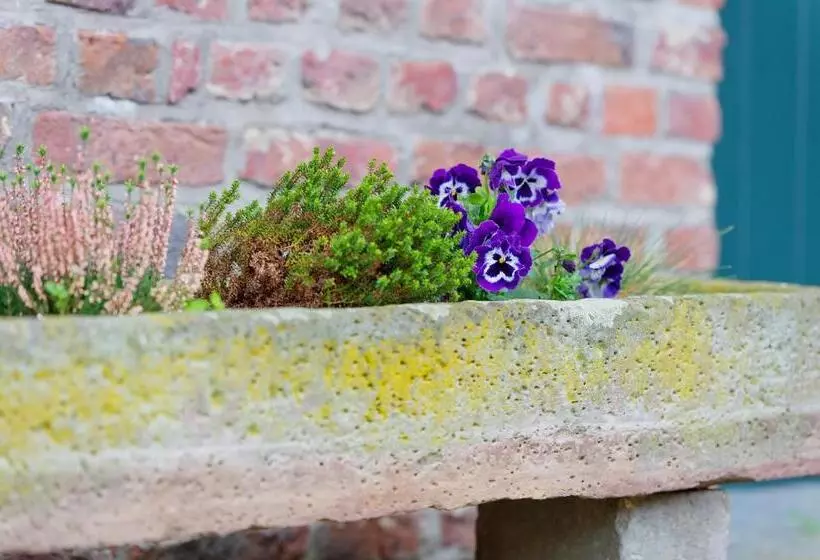 ホテル Burg Obbendorf