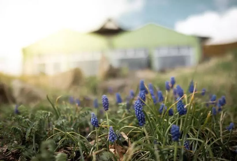 فندق Fröhlich Höche