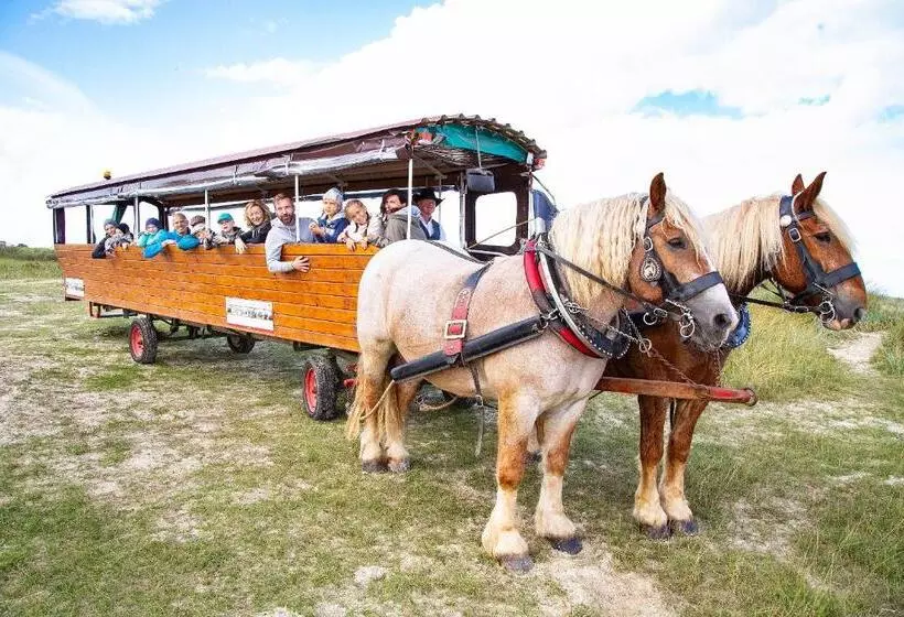 酒店 Frieslandstern   Ferienhof Und