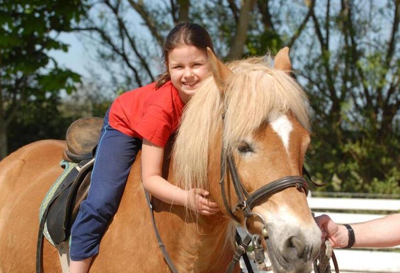 Отель Frieslandstern   Ferienhof Und