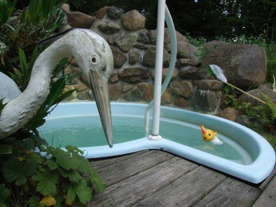 Hotelli Grüne Tanne Mandelholz