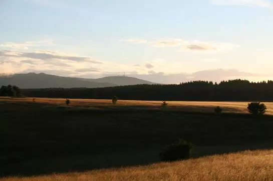 Отель Grüne Tanne Mandelholz