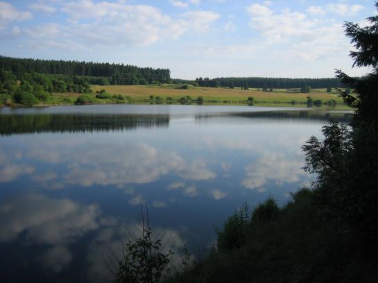 Hotelli Grüne Tanne Mandelholz