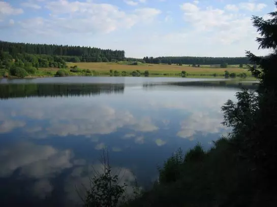 Отель Grüne Tanne Mandelholz