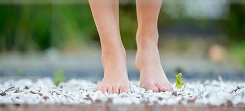 Landhotel Jann Hinsch Hof