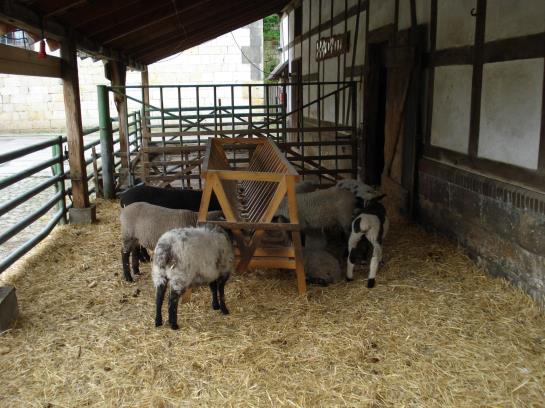 فندق Schäferhof Land