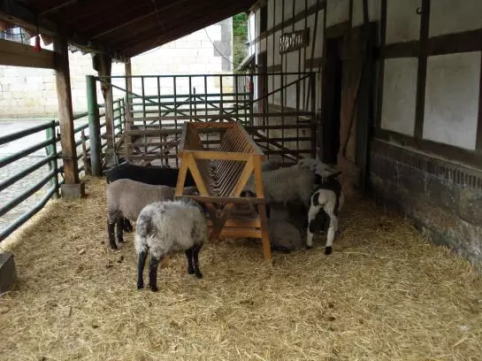 酒店 Schäferhof Land