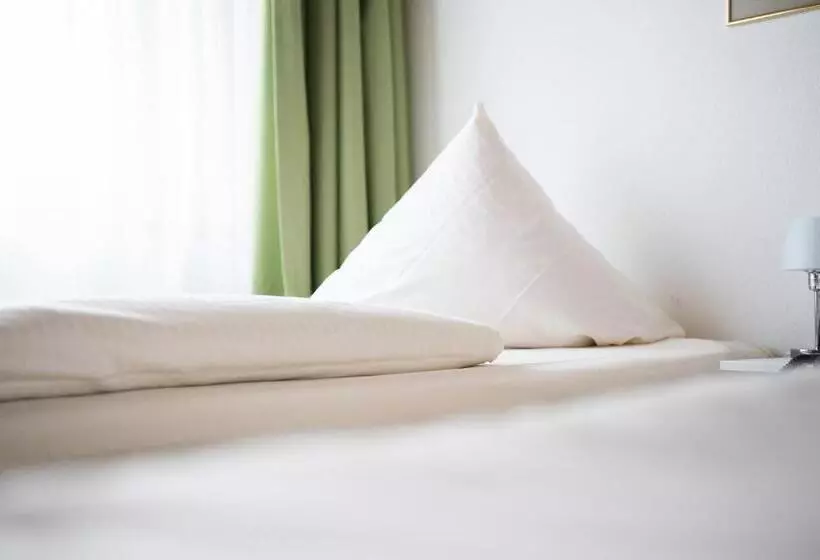 Отель Zum Eisenhammer