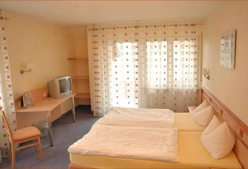 Пансион Gasthaus Grüner Baum