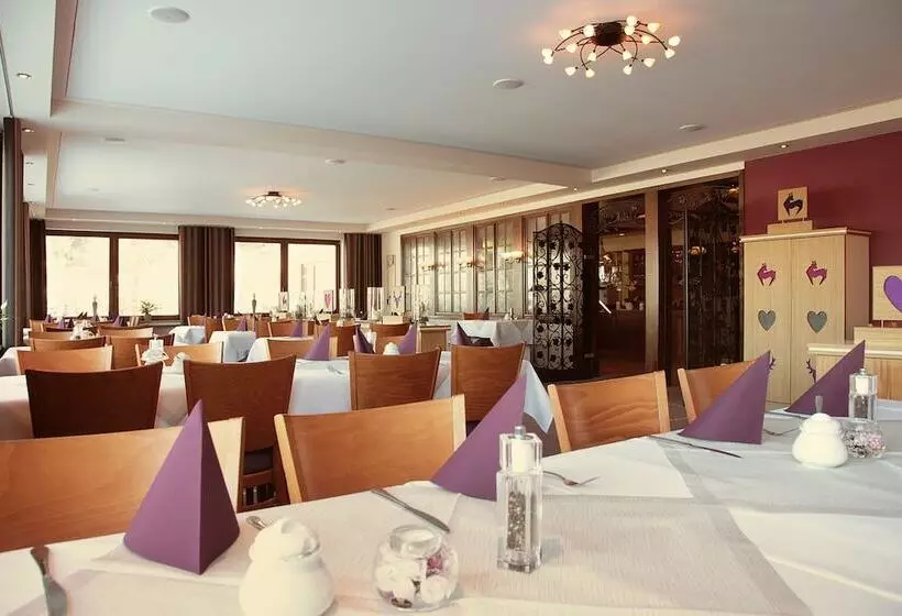 Wald Hotel Willingen