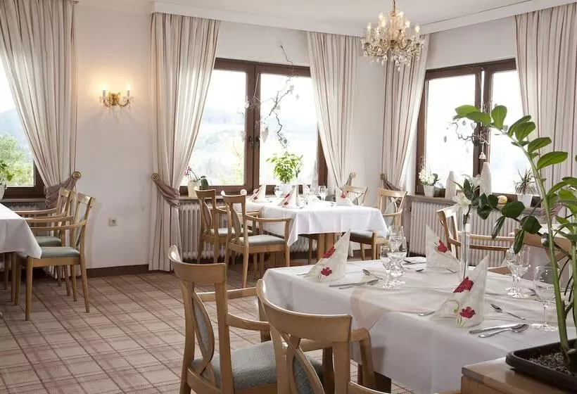 Wald Hotel Willingen