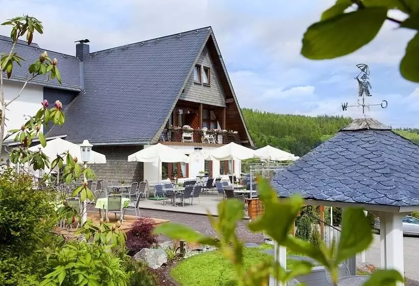 Wald Hotel Willingen